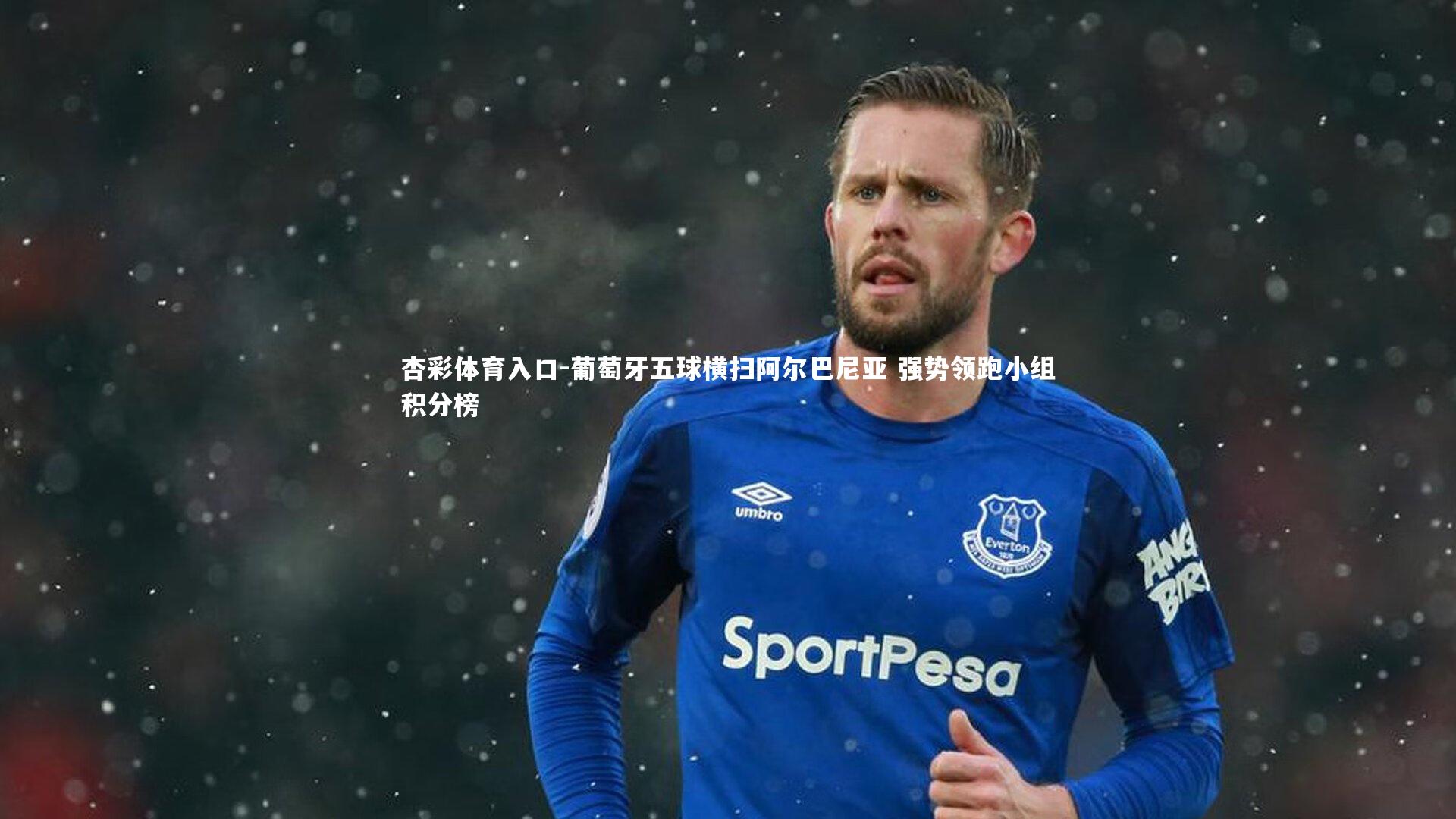 葡萄牙五球横扫阿尔巴尼亚 强势领跑小组积分榜